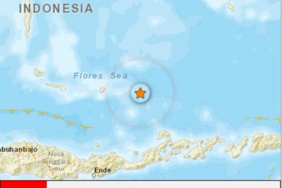 Gempa magnitudo 4.8 SR guncang Larantuka