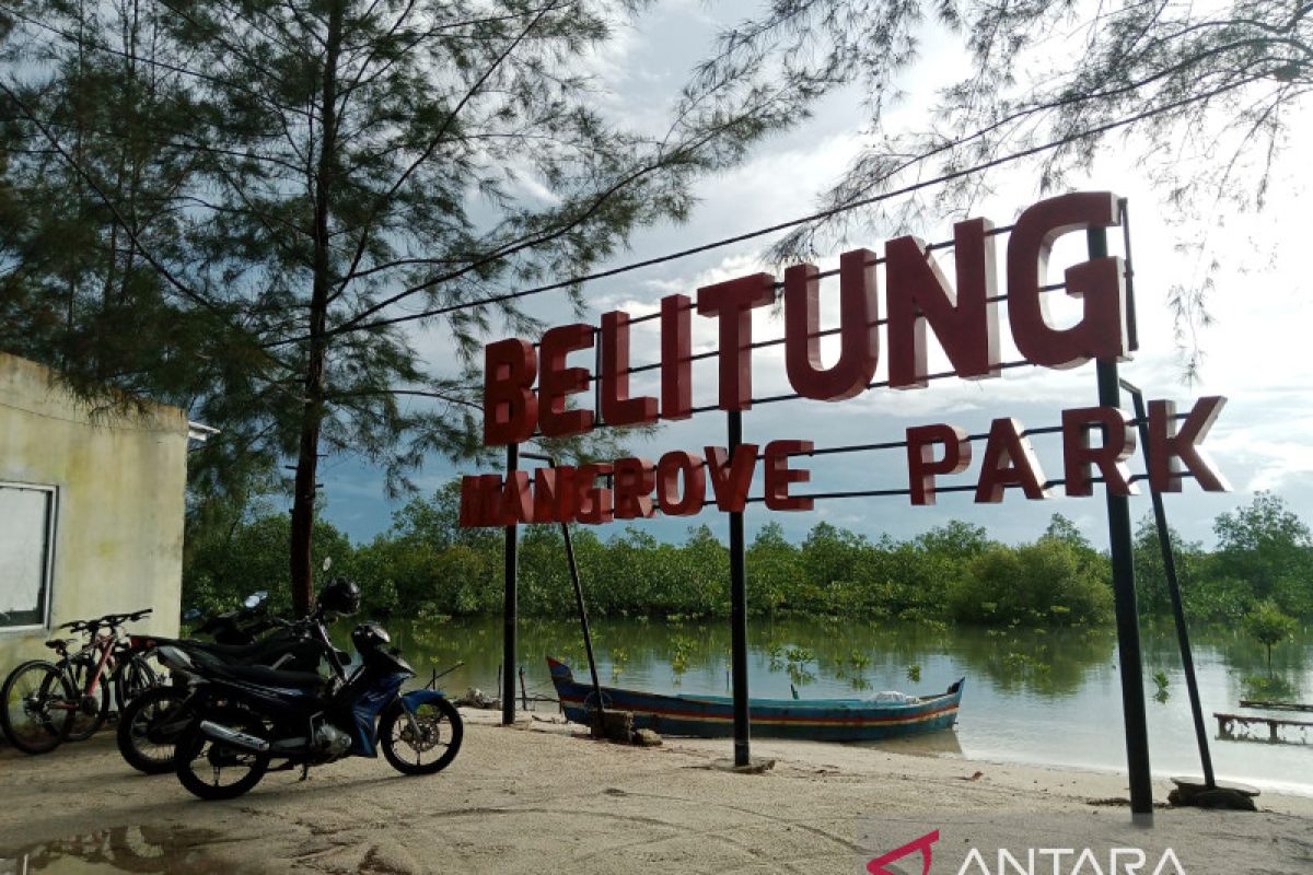 Delegasi UAE tinjau hutan mangrove Belitung