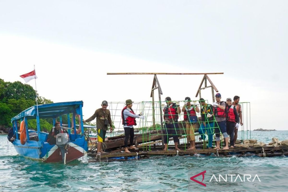 PT Timah tenggelamkan 1.920 karang buatan di Pulau Bangka