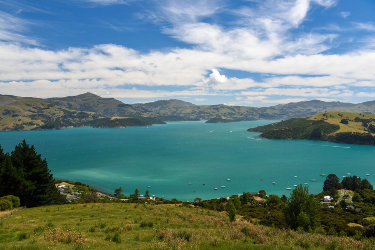 Survei ungkap warga Selandia Baru sambut baik kembalinya pariwisata