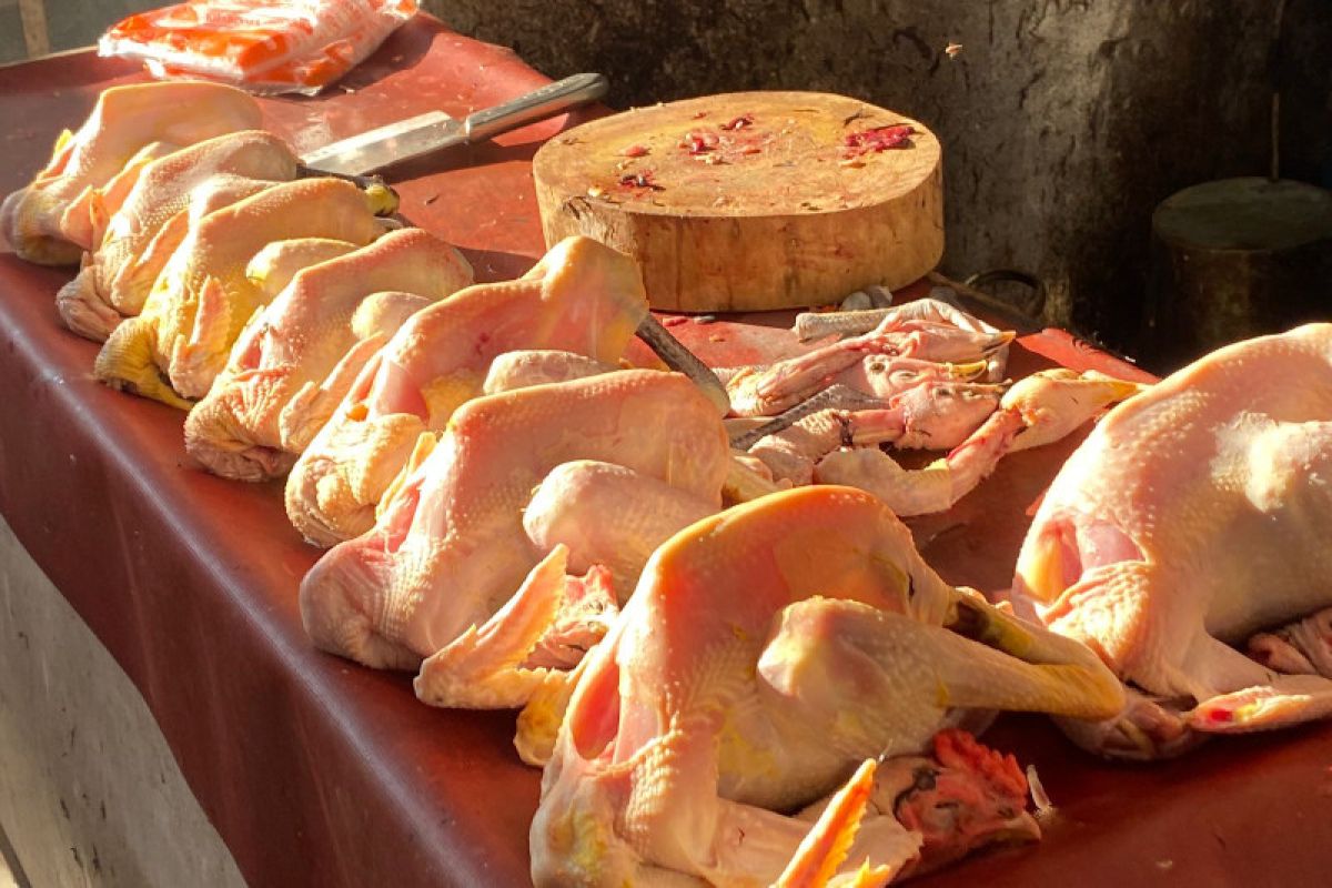 Harga ayam potong di Bandarlampung naik, pembeli sepi
