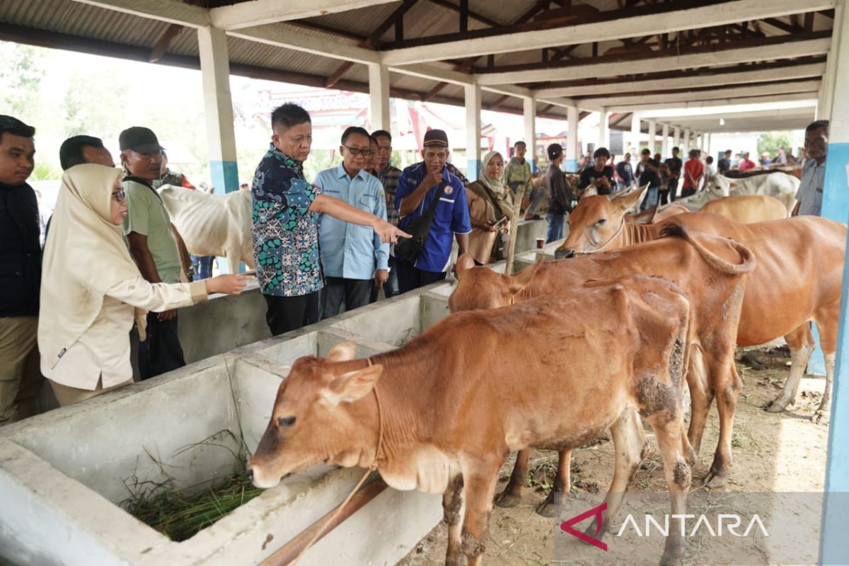 Pemkab OKU Timur operasikan lagi pasar hewan di Semendawai Suku III
