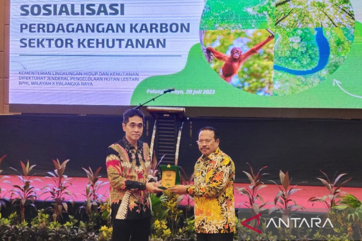 Dukung pengendalian iklim, Ditjen PHL sosialisasi perdagangan karbon