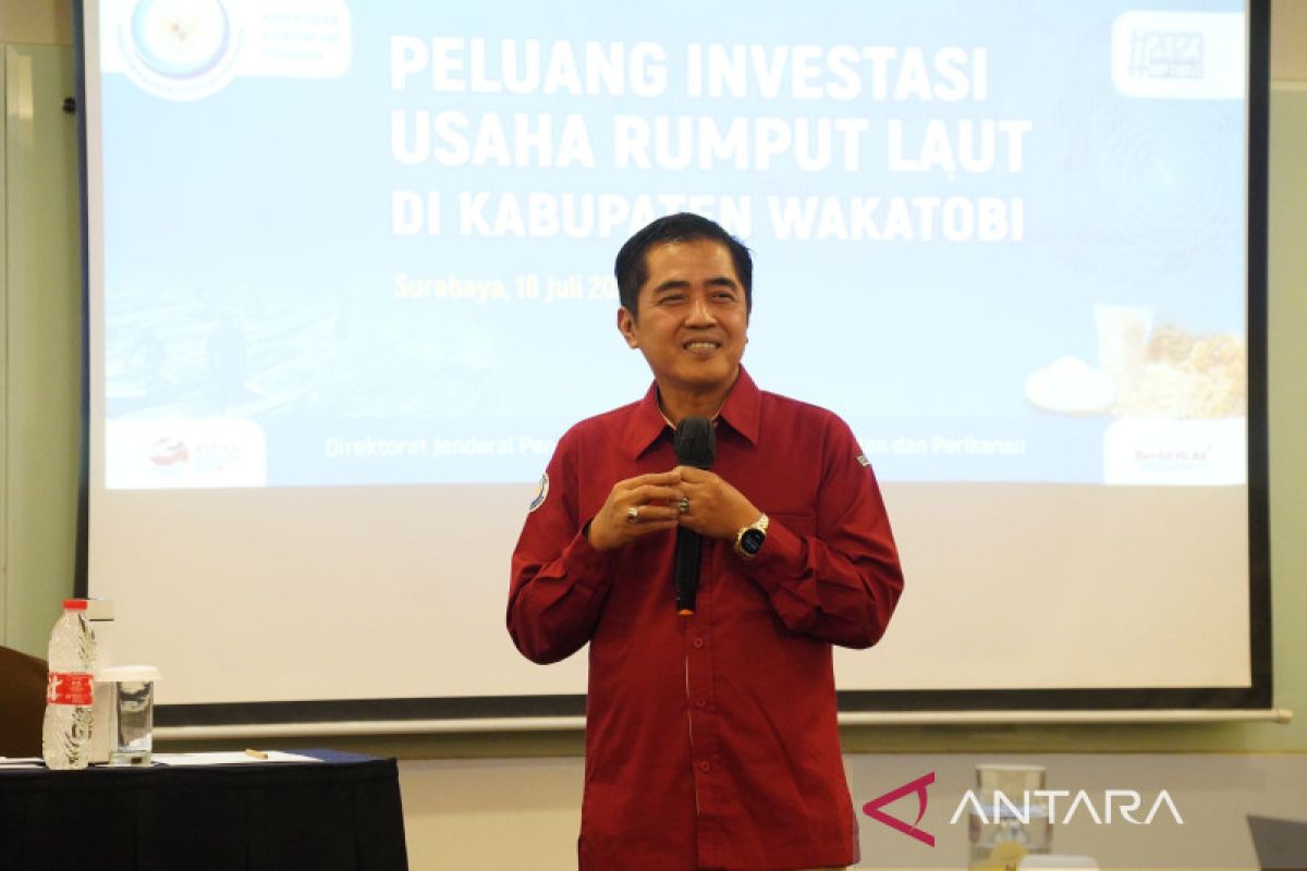 Ministry supporting investment in Wakatobi's seaweed businesses