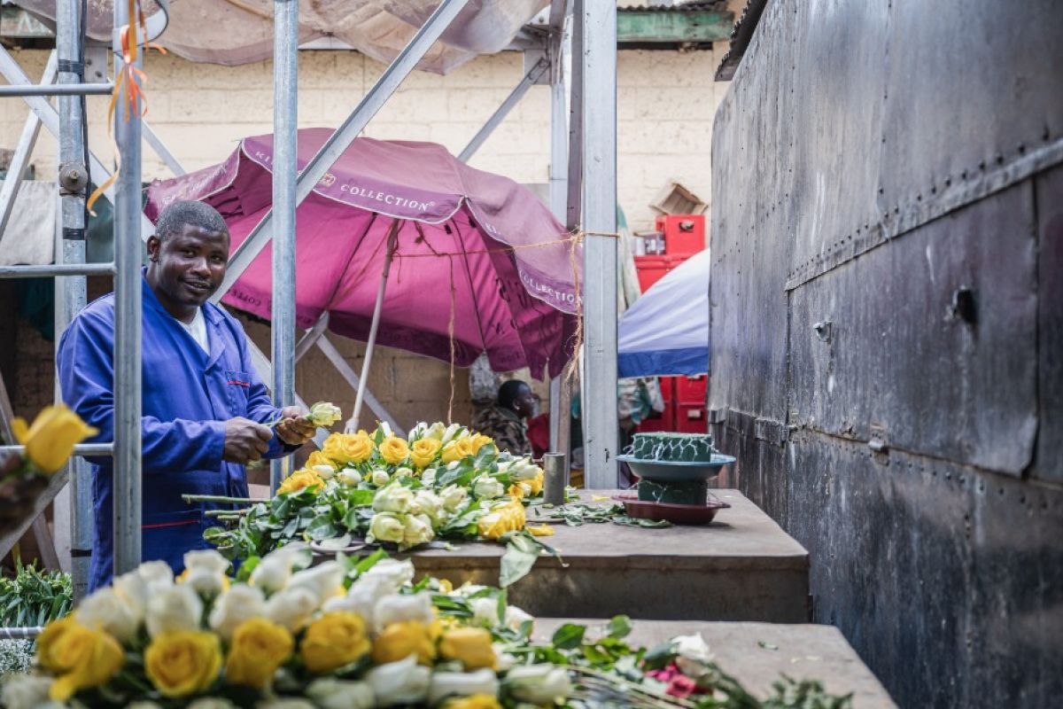 Ekspor bunga Kenya ke China catat peningkatan konsisten