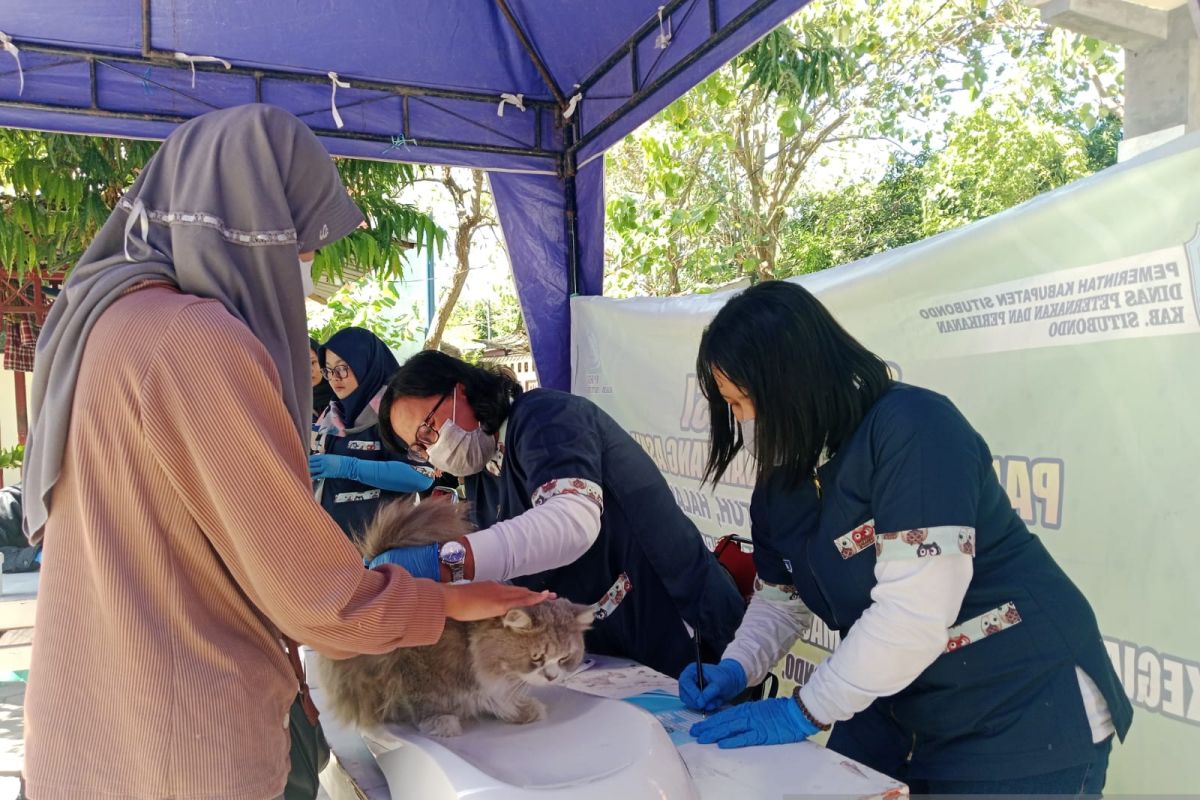 Hewan peliharaan di Situbondo mulai divaksinasi anti-rabies