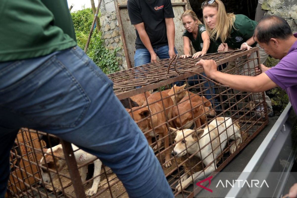 Korea Selatan sahkan RUU yang melarang konsumsi daging anjing