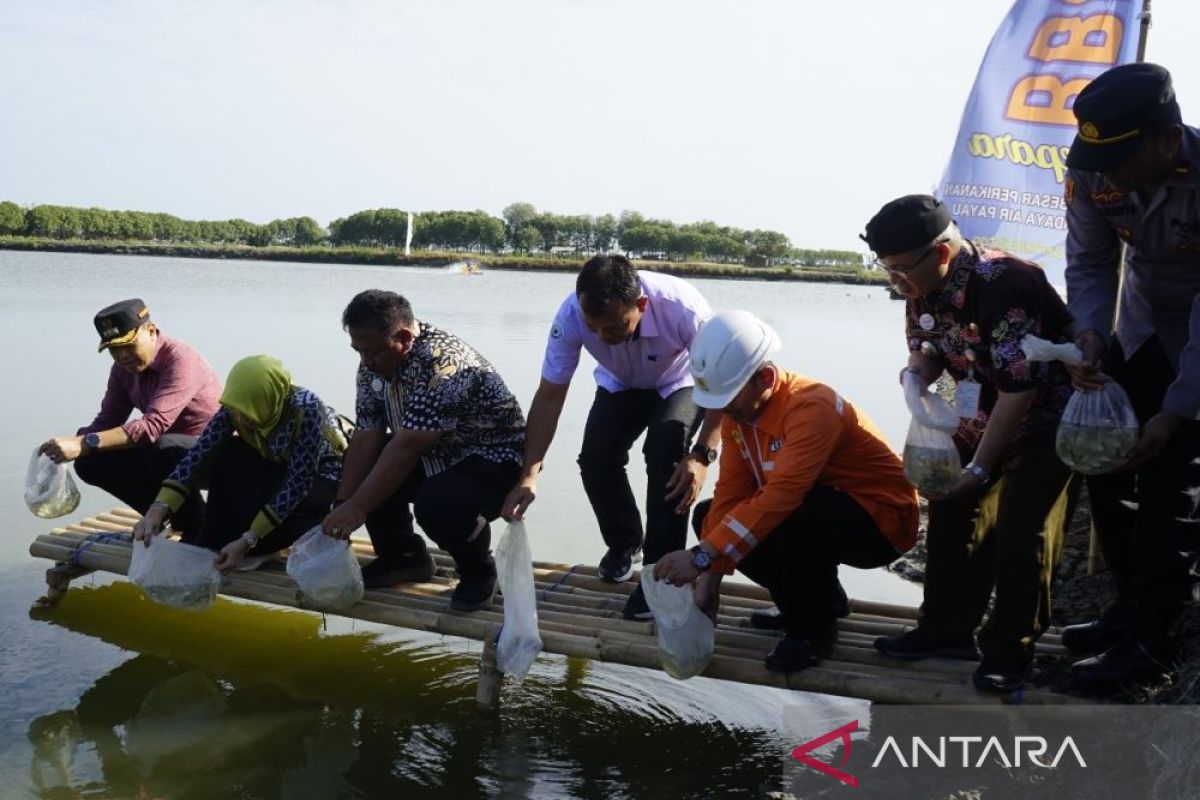 BBPBAP Jepara percepat pengembangan klaster bandeng