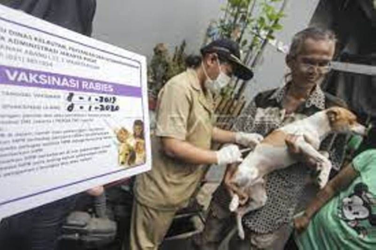 Rabies mewabah, DPRD Riau imbau masyarakat vaksinasi hewan peliharaan