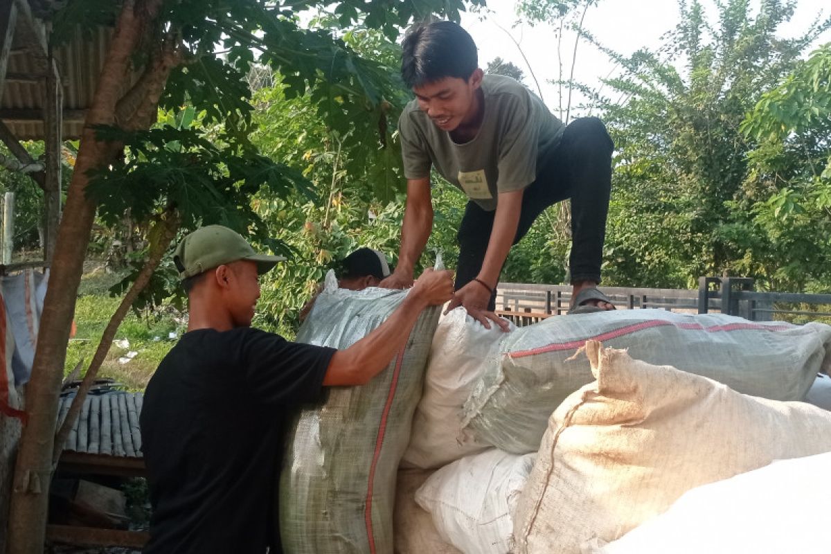 Tanam sayuran bagian suasati lahan di musim kemarau