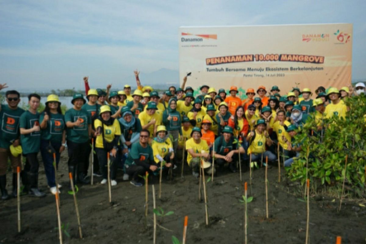 Danamon tanam 10.000 mangrove di Pantai Tirang Semarang