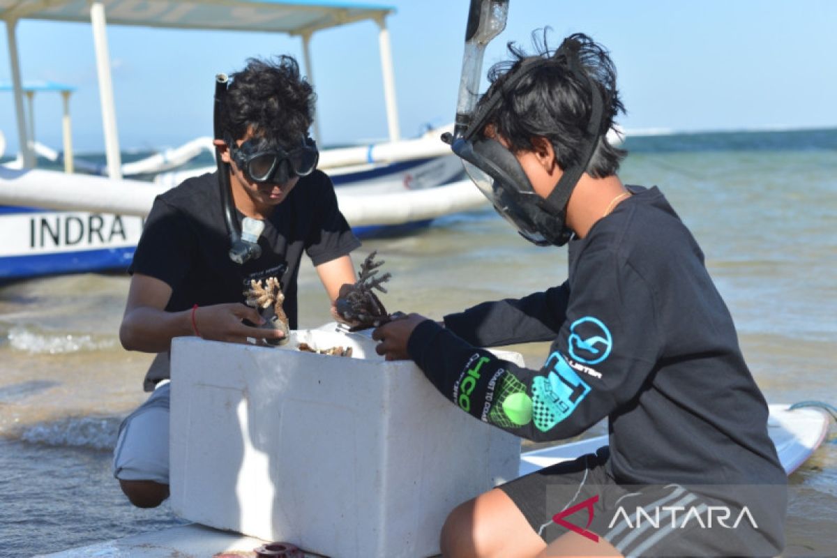 Ratusan anak muda dapat edukasi coral di Sanur Village Festival