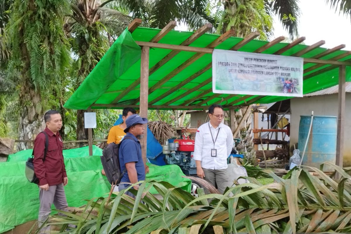 Universitas Airlangga dukung peternakan terintegrasi sawit di Kalimantan Barat