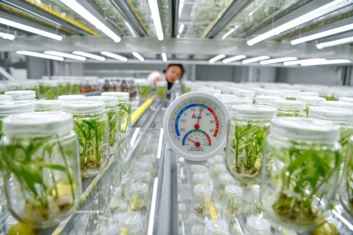 China terus berupaya untuk kembangkan fasilitas pertanian modern