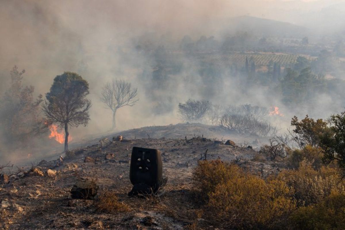 Turis terbang pulang akibat kebakaran hutan di Yunani