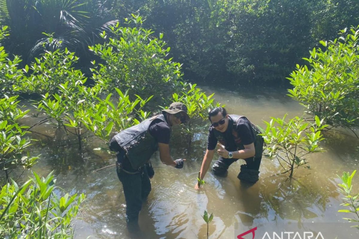 Peduli Lingkungan, Bikers Brotherhood 1% MC Tanam Ratusan Pohon di Padang