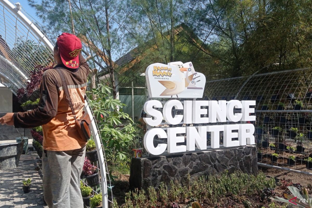 BRIN jadikan Hutan Mangrove Gunung Anyar Surabaya sebagai kebun raya