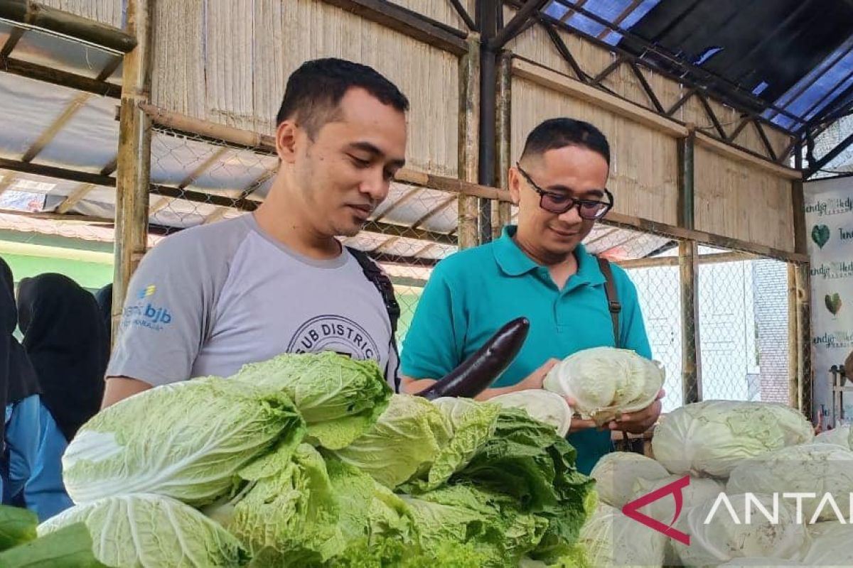 Inovasi Program Pojok Sayuran bantu tingkatkan kesejahteraan petani Sukabumi