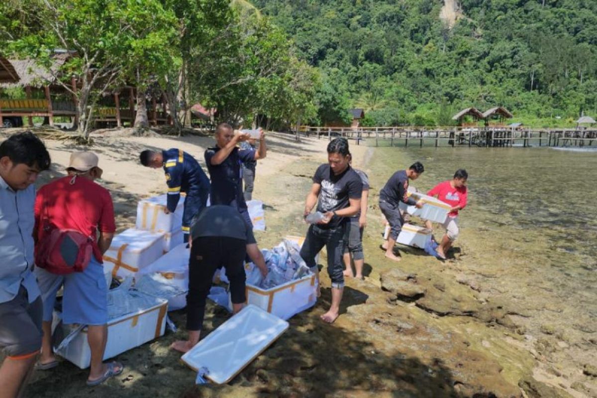 Polisi tangkap penyelundup 70 ribu lebih benih lobster di Inhil