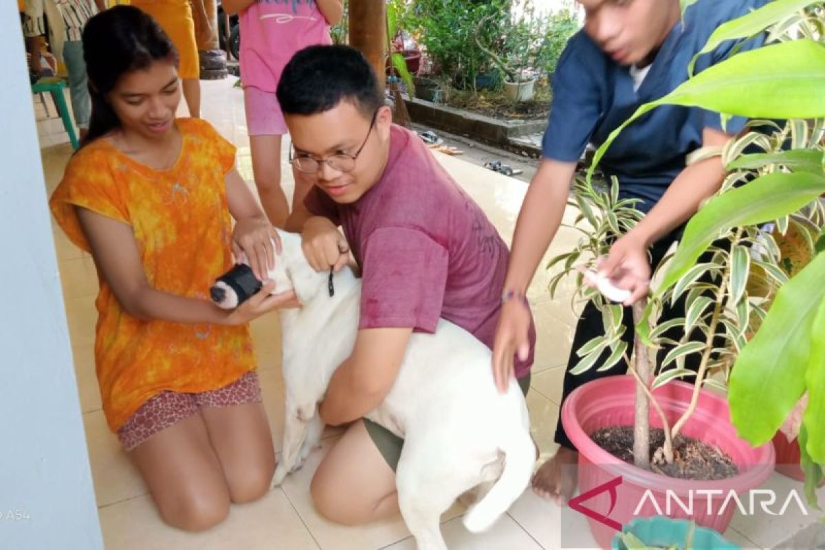 Kasus gigitan anjing rabies di Kabupaten TTS terus meningkat