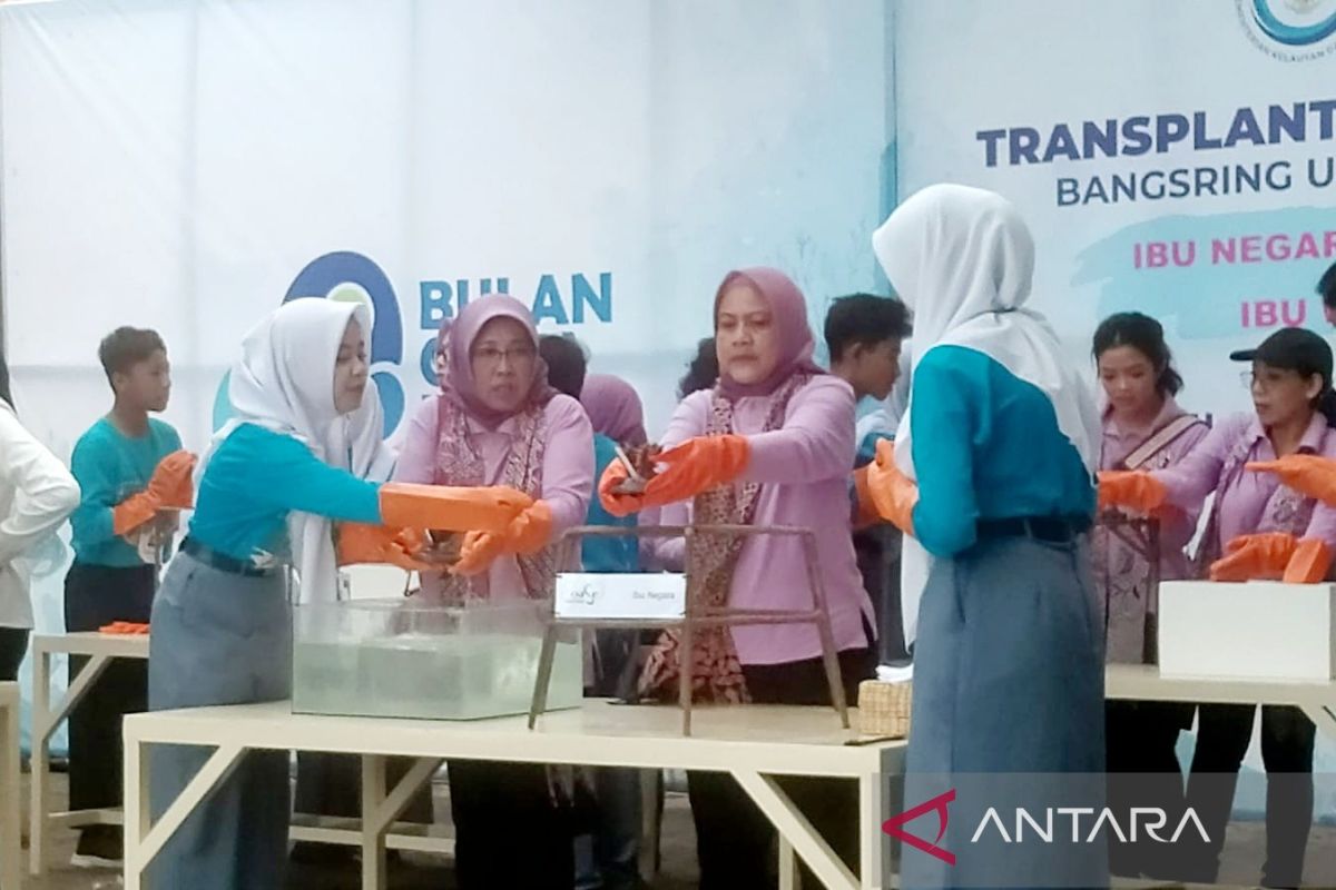 Ibu Negara transplantasi terumbu karang bersama pelajar di Banyuwangi