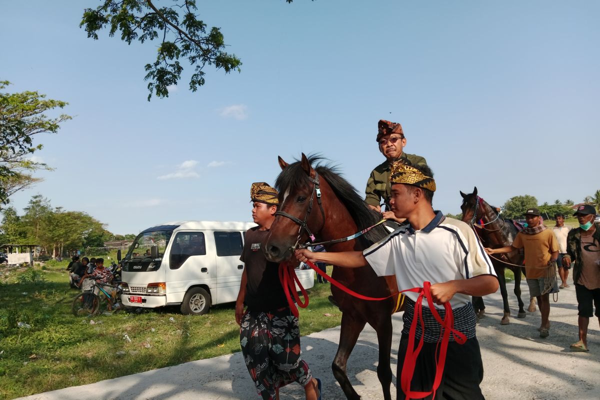 Sebanyak 214 peserta ikut ajang pacuan kuda tradisional di Loteng
