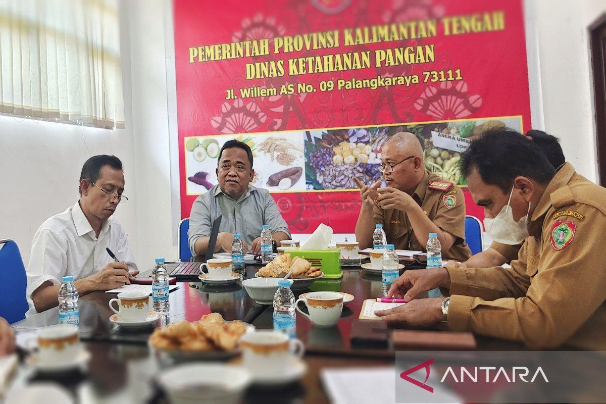 BRIN sebut Kalimantan Tengah prospektif pasok kebutuhan pangan IKN
