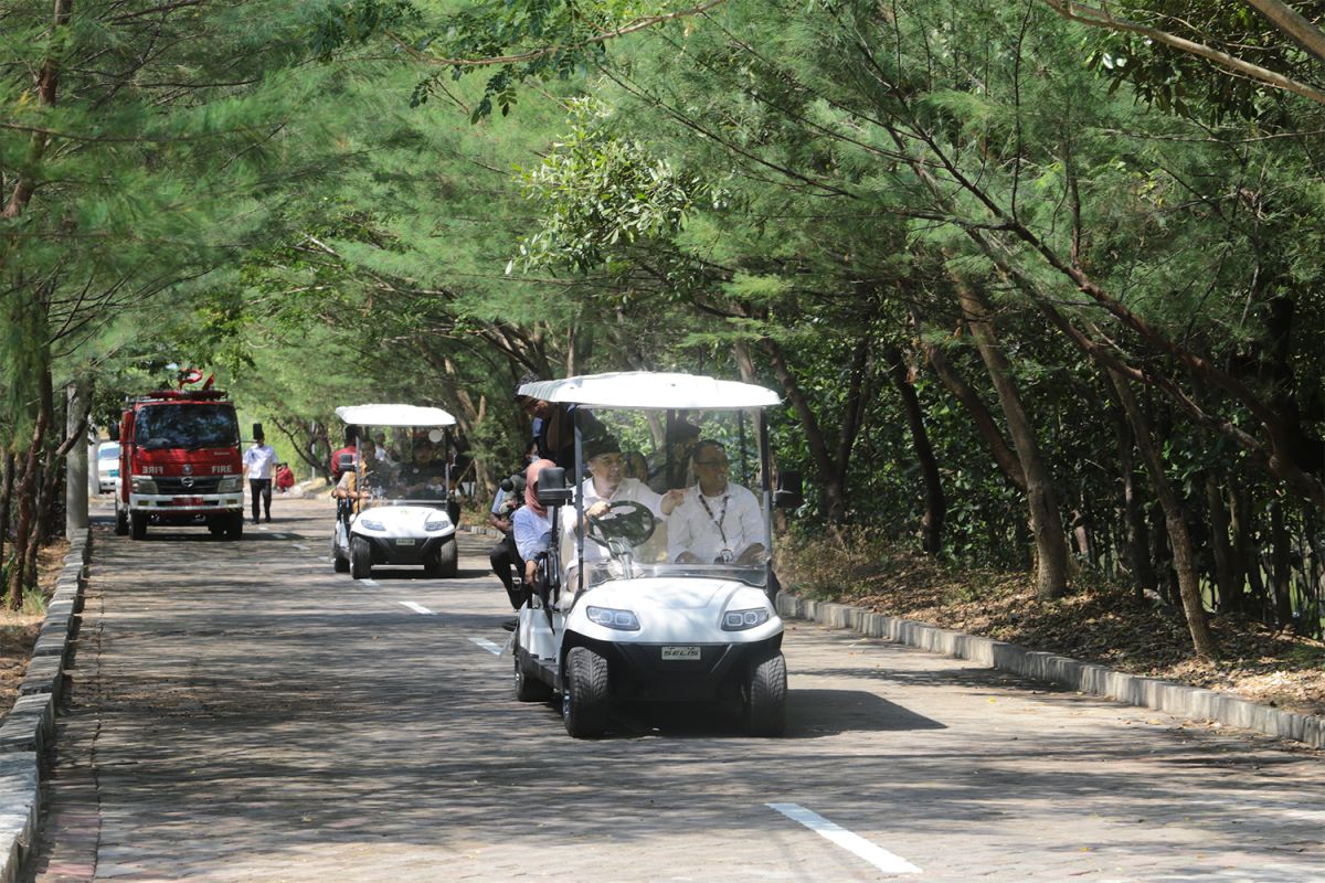 Kebun Raya Mangrove di pesisir Gunung Anyar Surabaya miliki koleksi 57 jenis tanaman