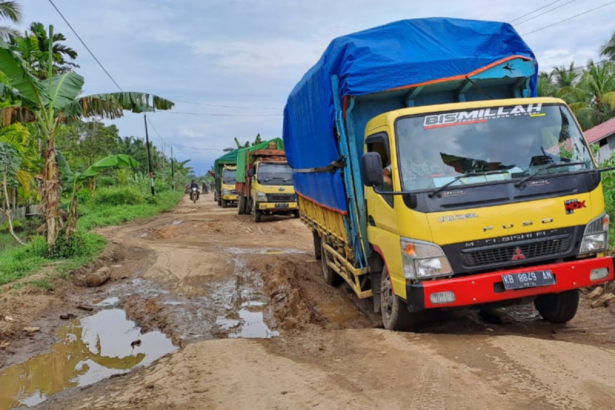 Kalbar anggarkan Rp35 miliar untuk pembangunan jalan Teluk Batang Kayong Utara