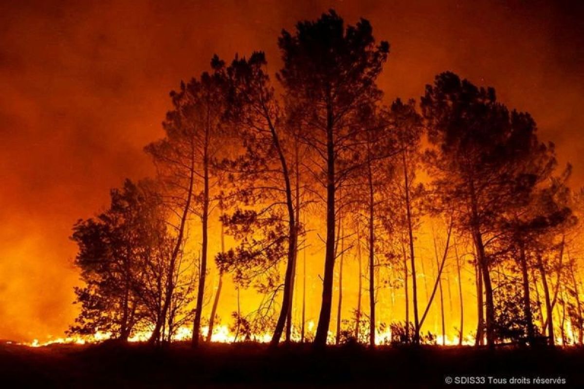 Prancis berjuang atasi kebakaran hutan di dekat bandara Nice