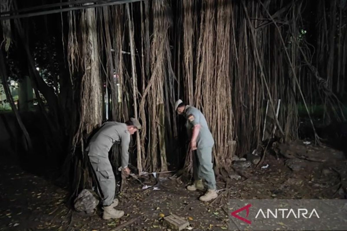 Pelaku asusila di Hutan Kota Cawang Jaktim dari LGBT kalangan 