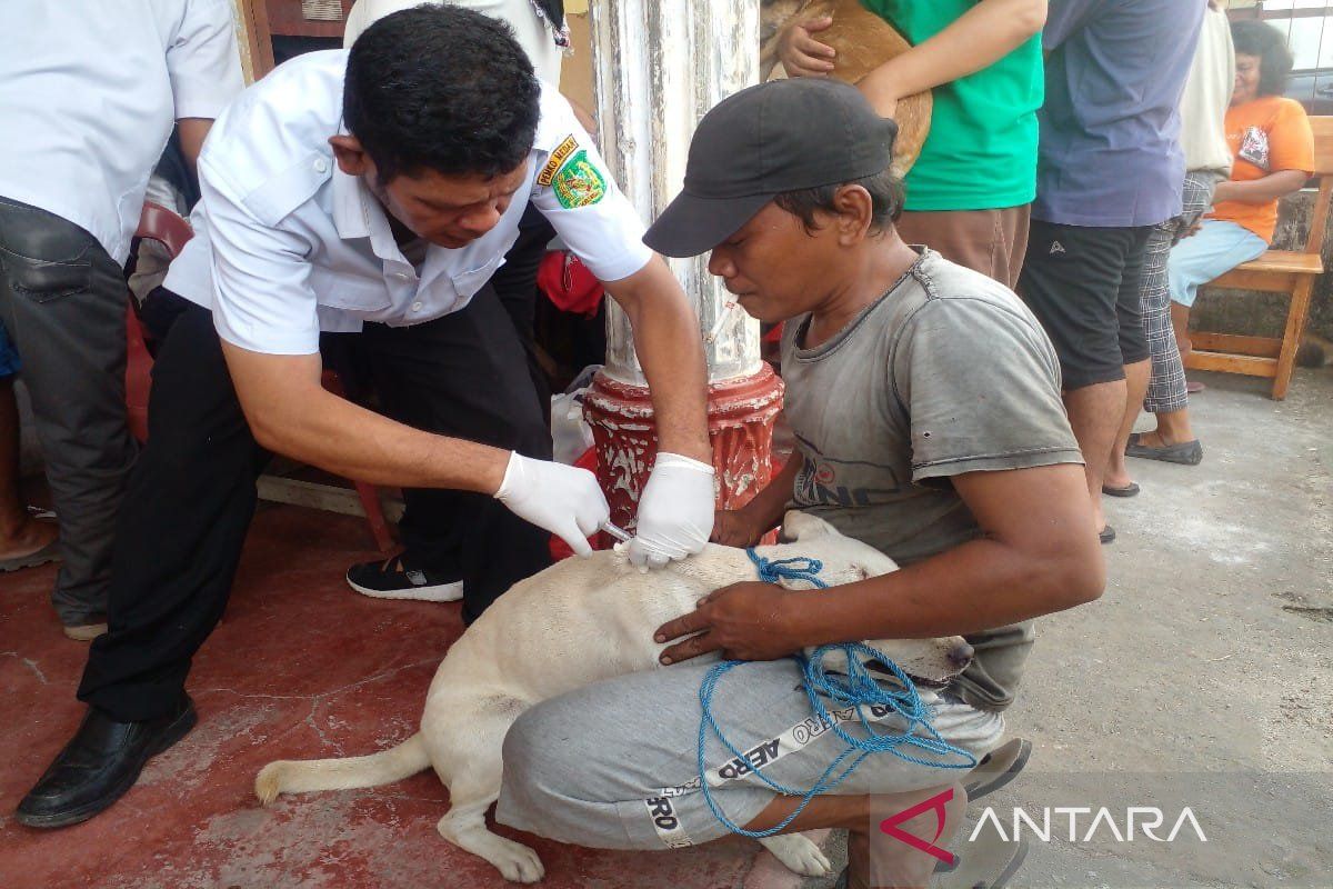 Pemkot Medan lakukan vaksinasi hewan peliharaan antisipasi penyakit rabies