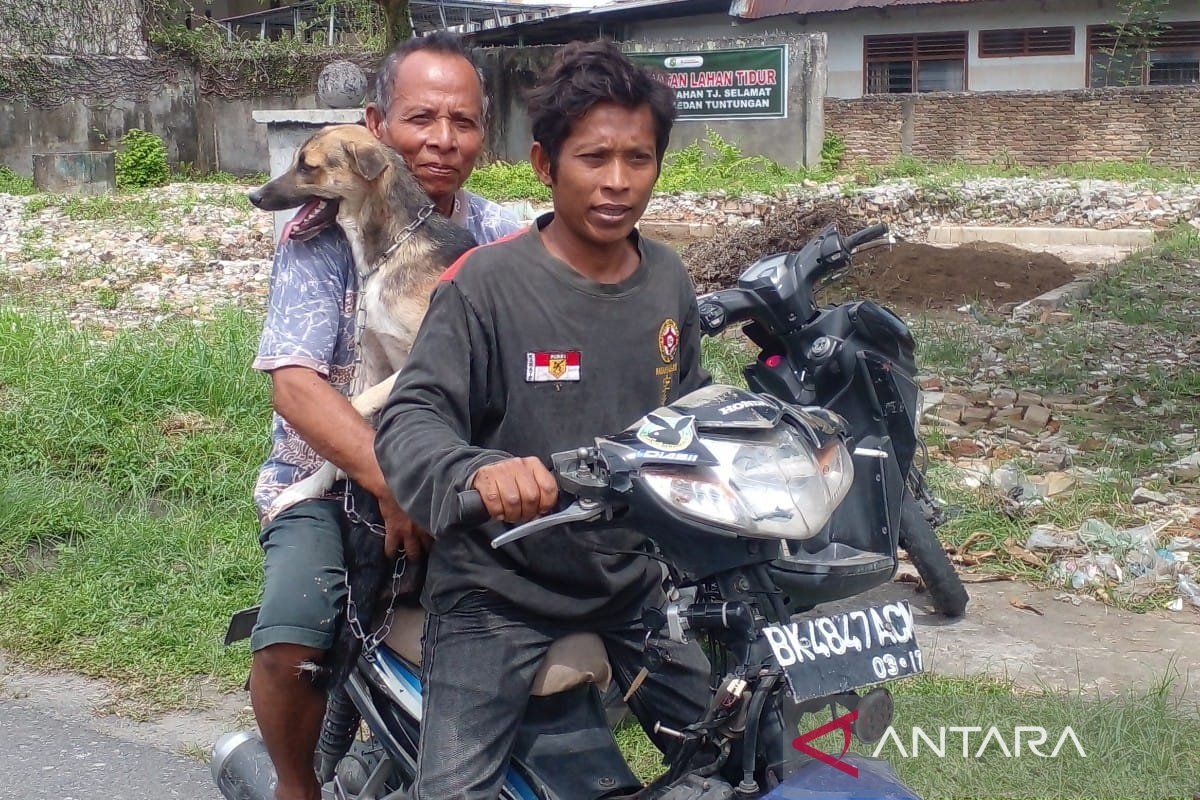 Masyarakat Medan berharap vaksinasi hewan  berlanjut