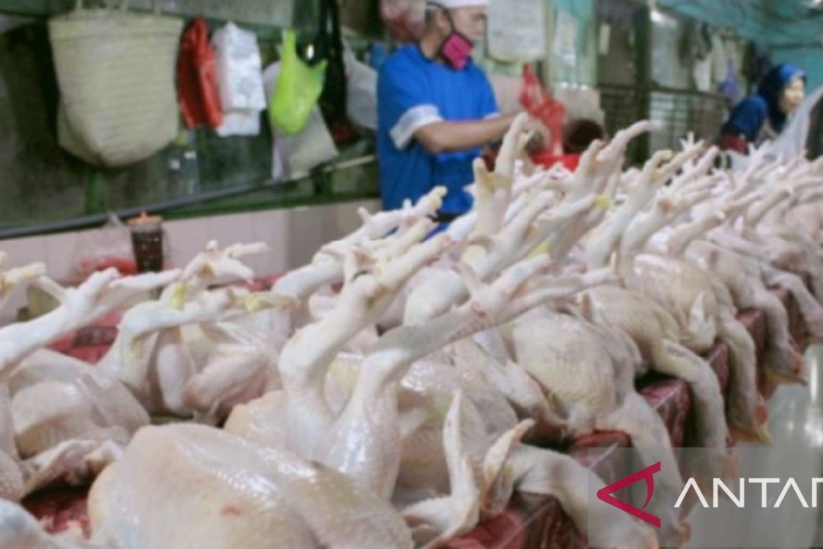 Pedagang di Karawang keluhkan kenaikan harga daging ayam