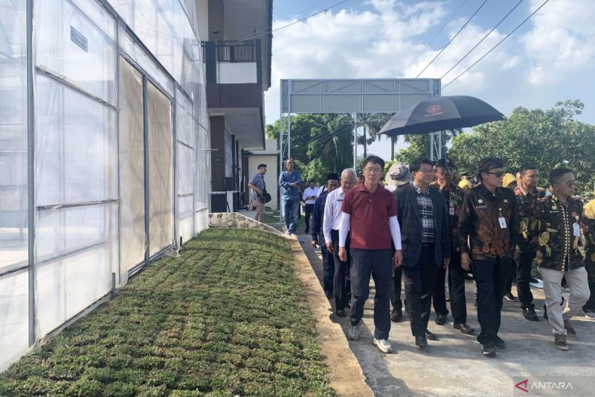 Indonesia-Korsel jalin kerja sama penerapan konsep pertanian cerdas