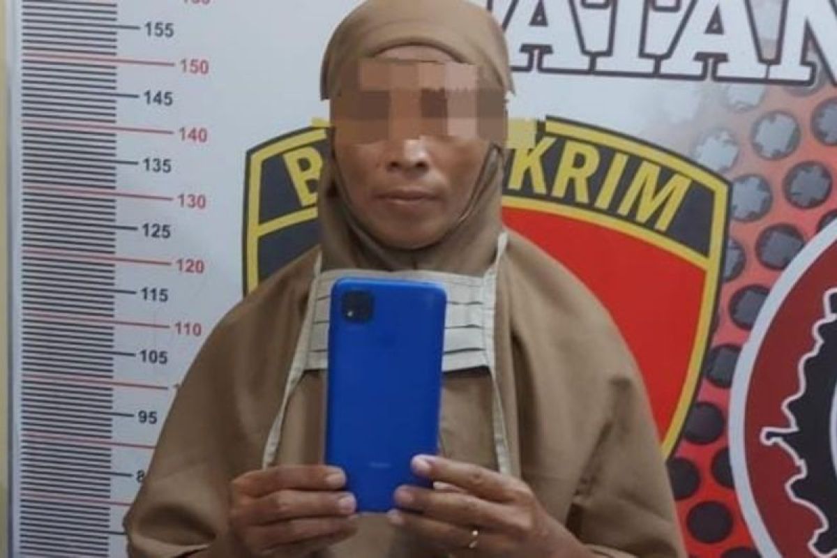 Ibu rumah tangga di Batubara curi ponsel, mengaku barang temuan