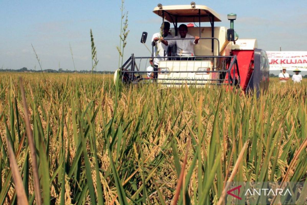 Petani di Karawang merugi akibat gagal panen