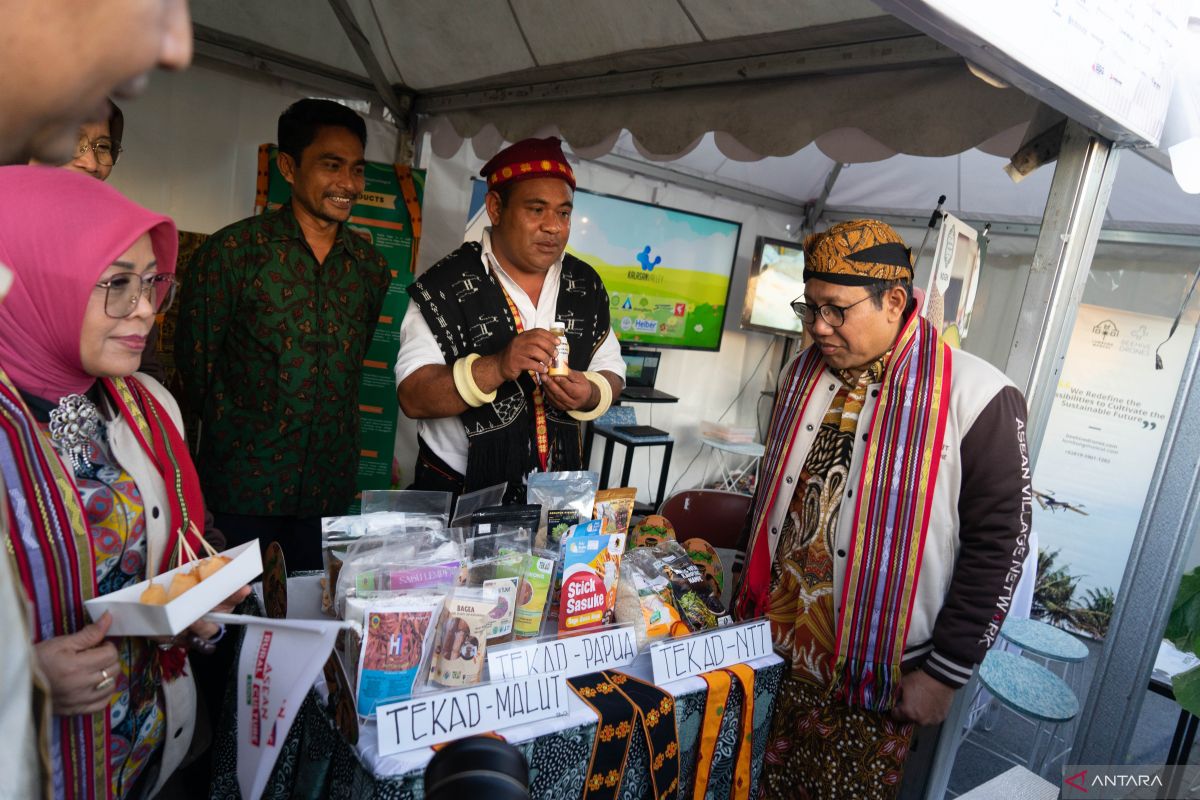 Minister: ASEAN Rural Culture Expo promotes MSME products