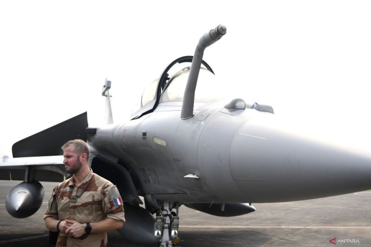 Procurement of 42 Rafale jets marks new history: ministry