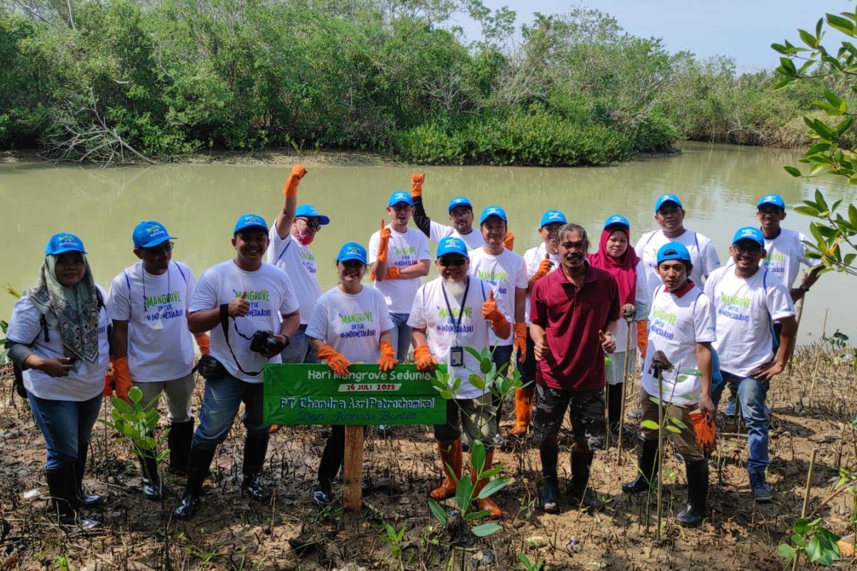 Chandra Asri-Jurnalis Banten tanam mangrove untuk benteng alami pesisir