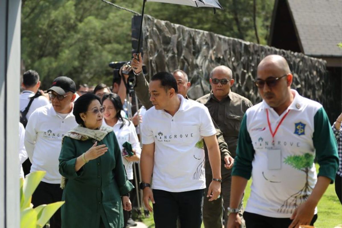 Wali Kota Eri: Pekerja Kebun Raya Mangrove Surabaya dari keluarga miskin