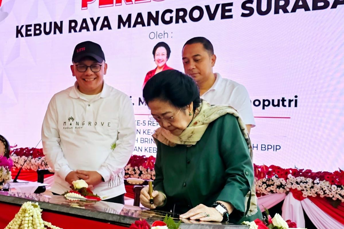 BRIN mencatat jenis mangrove di Kebun Raya Surabaya
