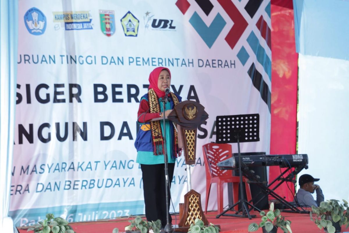 Unila dan PTN/PTS di Lampung gelar KKN Siger Berjaya di Pesawaran
