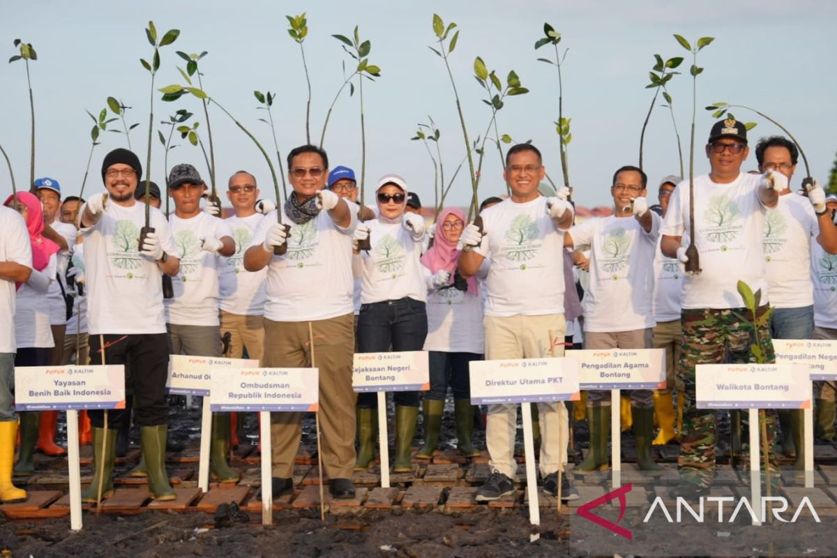 Pupuk Kaltim gandeng TNK dan Yayasan Benih Baik tanam 500 ribu mangrove