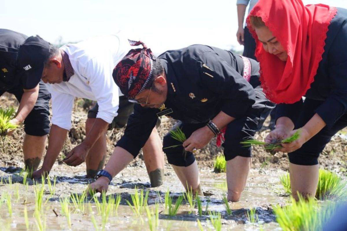 Minister Limpo joins planting, harvesting activity in C Java