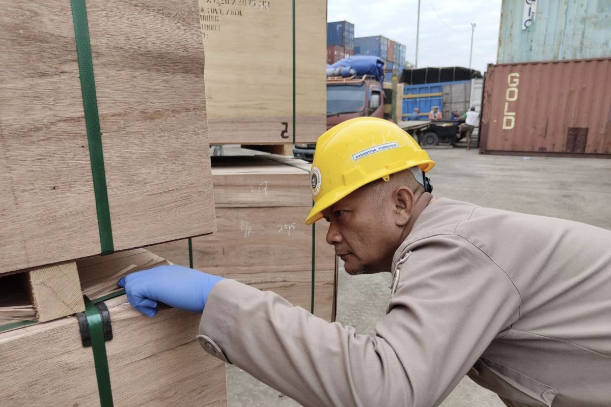 South Kalimantan plywood meets export requirements to Germany