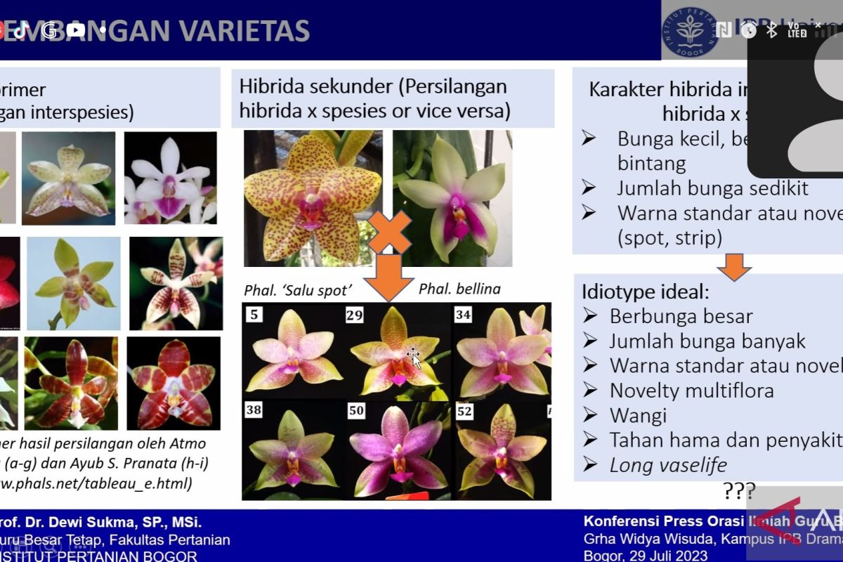 Bisnis anggrek butuhkan pendekatan bioteknologi, kata peneliti IPB