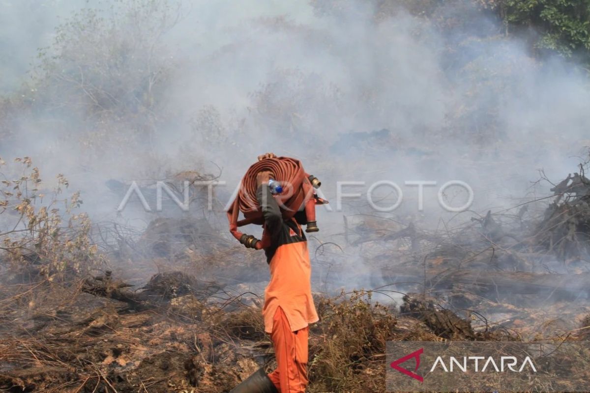 Wilayah Aceh diimbau waspada Karhutla di puncak kemarau, ini daerahnya