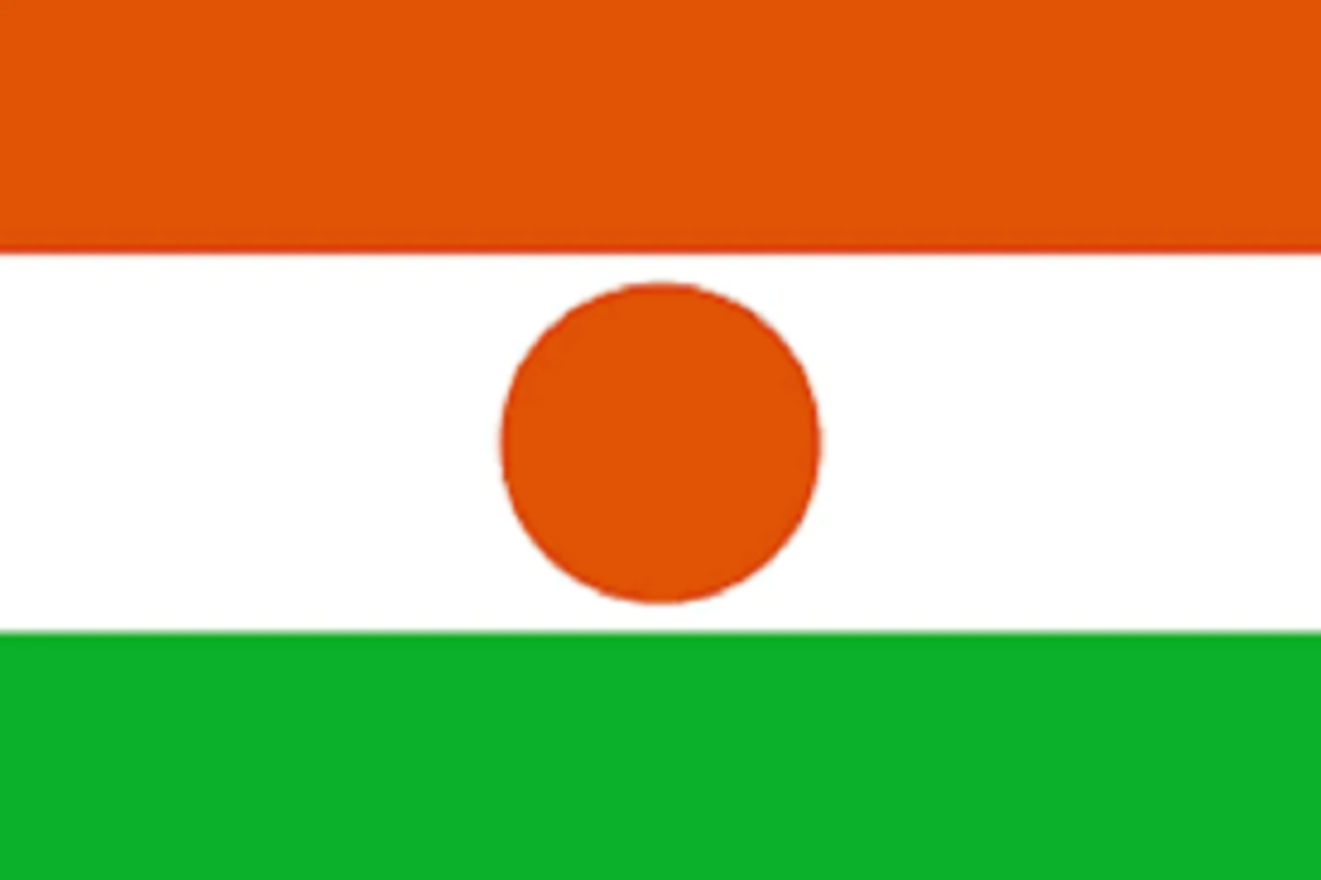 Tentara Niger mengumumkan kudeta lewat televisi