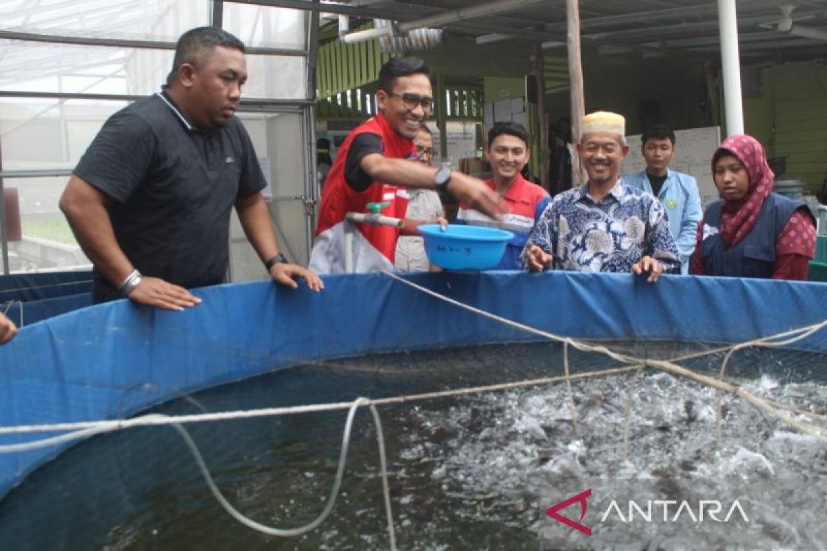 Pertamina wujudkan kampung pangan di Pekanbaru